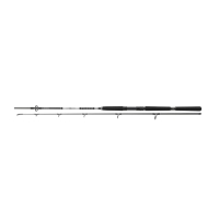 Lanseta 2BUC BG OFFSHORE PILK 2,10M 40-125G DAIWA