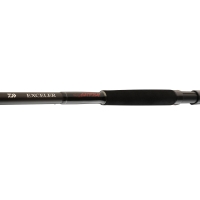 Lanseta 2BUC EXCELER CATFISH BOJE 3,00M 200-600G DAIWA