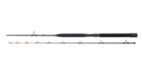 Lanseta SALMONIZER TROLLING M 2,10M 12-25LBS DAM