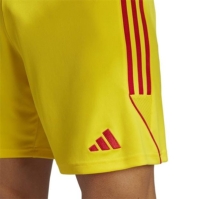 adidas Tiro 23 Sho fotbal Short pentru Barbati galben