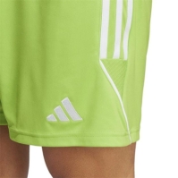 adidas Tiro 23 Sho fotbal Short pentru Barbati verde