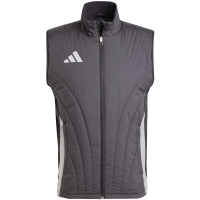 adidas Tiro 24 competitie iarna Vest gri IM9968