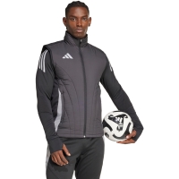 adidas Tiro 24 competitie iarna Vest gri IM9968