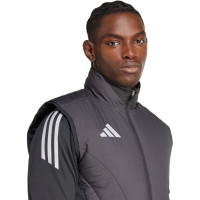 adidas Tiro 24 competitie iarna Vest gri IM9968