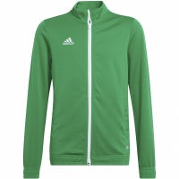 Bluza de trening Adidas Entrada 22 For verde HI2138 pentru Copii