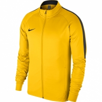 Bluza de trening NIKE DRY ACADEMY 18 TRANSPORT PIELA Galben 893701 719 barbati