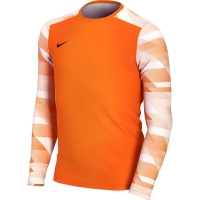 Bluza pentru portar Nike Dry Park IV JSY maneca lunga GK portocaliu CJ6072 819 copii