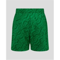 Pantaloni scurti Castore Ireland Third 2024 pentru copii verde