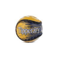 County Sliotar 51