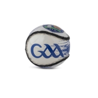 County Sliotar 51