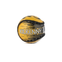 County Sliotar 51