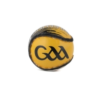 County Sliotar 51