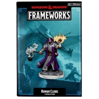 Dungeons and Dragons Dungeons & Dragons Frameworks: Human Cleric Male multicolor