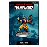 Dungeons and Dragons Dungeons & Dragons Frameworks: Human Monk Male multicolor