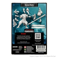 Dungeons and Dragons Dungeons & Dragons Frameworks: Human Monk Male multicolor