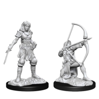 Dungeons and Dragons Dungeons & Dragons Minis: Human Fighter Female multicolor