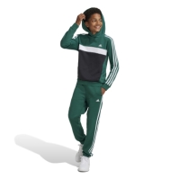 Hanorac adidas Tiberio 3-Stripes Colourblock Juniors collegiate verde