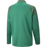 Jacheta Puma Teamcup antrenament Unisex pentru Copii copii bej verde