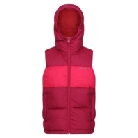 Jacheta REGATTA LOFTHOUSE Bodywarmer roz inchis potion