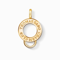 Charm THOMAS SABO X0247-413-39 pentru Femei auriu