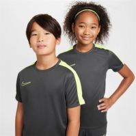 Nike Academy Top Juniors gri galben