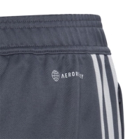 Pantaloni adidas Tiro23 L copii gri