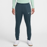 Pantaloni de trening Nike Tottenham Hotspur Third Strike 2024 2025 pentru adulti gri