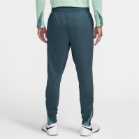 Pantaloni de trening Nike Tottenham Hotspur Third Strike 2024 2025 pentru adulti gri