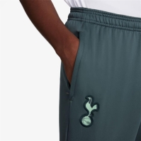 Pantaloni de trening Nike Tottenham Hotspur Third Strike 2024 2025 pentru adulti gri