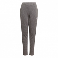 Pantaloni For Adidas Tiro 21 Sweat gri GP8809 pentru Copii