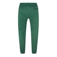 Pantaloni Pantaloni sport CP COMPANY Cp Company - Jogging frst verde