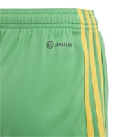 Pantaloni scurti adidas Jamaica Acasa 2023 Juniors verde