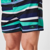 Pantaloni scurti cu imprimeu ONeill Swim negru albastru