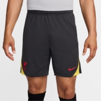 Pantaloni scurti Nike Liverpool Strike Third 2024 2025 pentru adulti gri