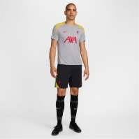 Pantaloni scurti Nike Liverpool Strike Third 2024 2025 pentru adulti gri