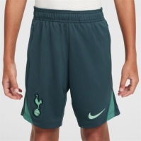 Pantaloni scurti Nike Tottenham Hotspur Third Strike 2024 2025 Juniors gri