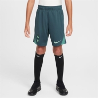 Pantaloni scurti Nike Tottenham Hotspur Third Strike 2024 2025 Juniors gri