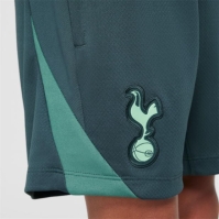 Pantaloni scurti Nike Tottenham Hotspur Third Strike 2024 2025 Juniors gri