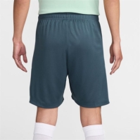 Pantaloni scurti Nike Tottenham Hotspur Third Strike 2024 2025 pentru adulti gri