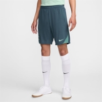 Pantaloni scurti Nike Tottenham Hotspur Third Strike 2024 2025 pentru adulti gri