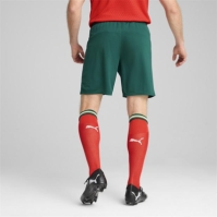 Pantaloni scurti Puma Portugalia Acasa 2025 pentru adulti verde galben