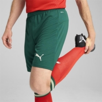 Pantaloni scurti Puma Portugalia Acasa 2025 pentru adulti verde galben