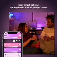 Philips Hue GO Portable light 12V