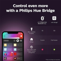 Philips Hue GO Portable light 12V