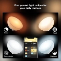 Philips Hue GO Portable light 12V