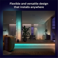 Philips Hue Gradient Lightstrip Ext UK