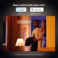 Philips Hue Philips Hue alb Ambiance 8W B22 2P multicolor format and universal