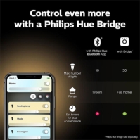 Philips Hue Philips Hue alb Ambiance 8W E27 2P multicolor format and universal