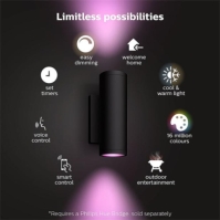 Philips Hue Philips Hue Appear Outdoor Smart Wall Light negru multicolor format and universal