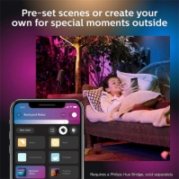 Philips Hue Philips Hue Lily Outdoor Smart Spotlight multicolor format and universal